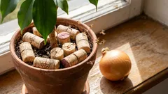 Karkotin sipulien ja kukkien kasvimaani kärpäset tavallisella viinikorkilla (ja suosittelen teillekin samaa – se toimii!).